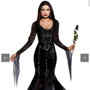 Meet your Posher, Lucy